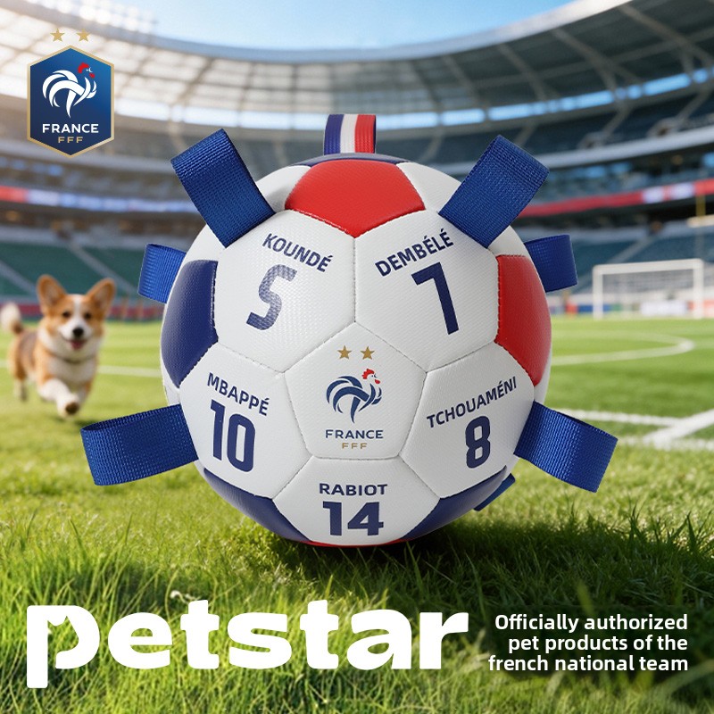 France Team Soccer Field Shape - Table Tennis France のレビューと価格