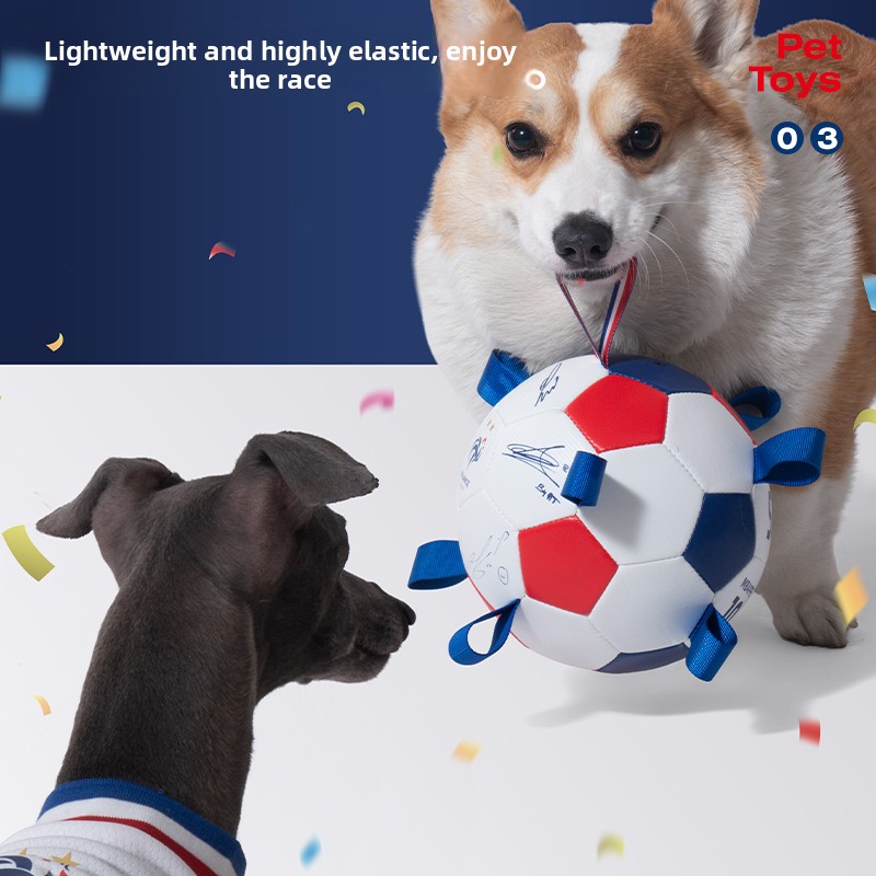 France Team Soccer Field Shape - Table Tennis France のレビューと価格