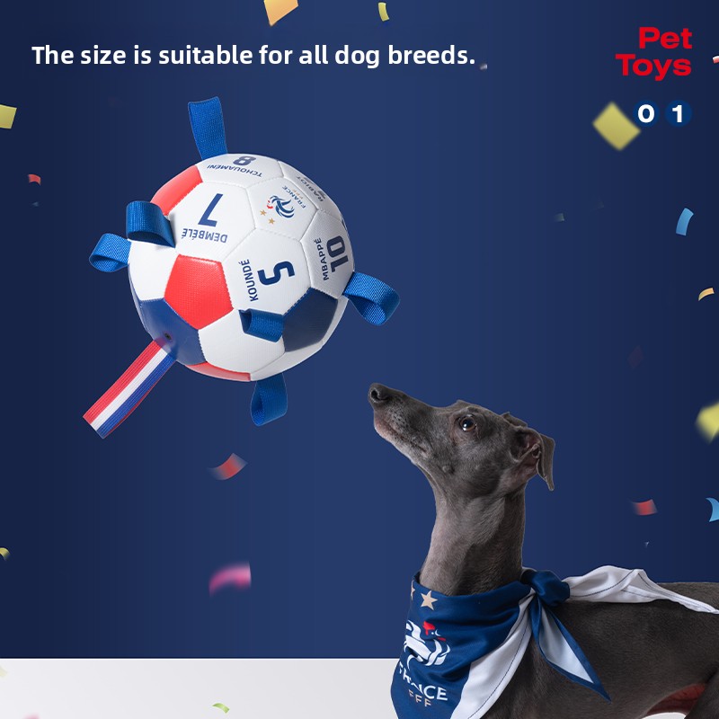 France Team Soccer Field Shape - Table Tennis France のレビューと価格