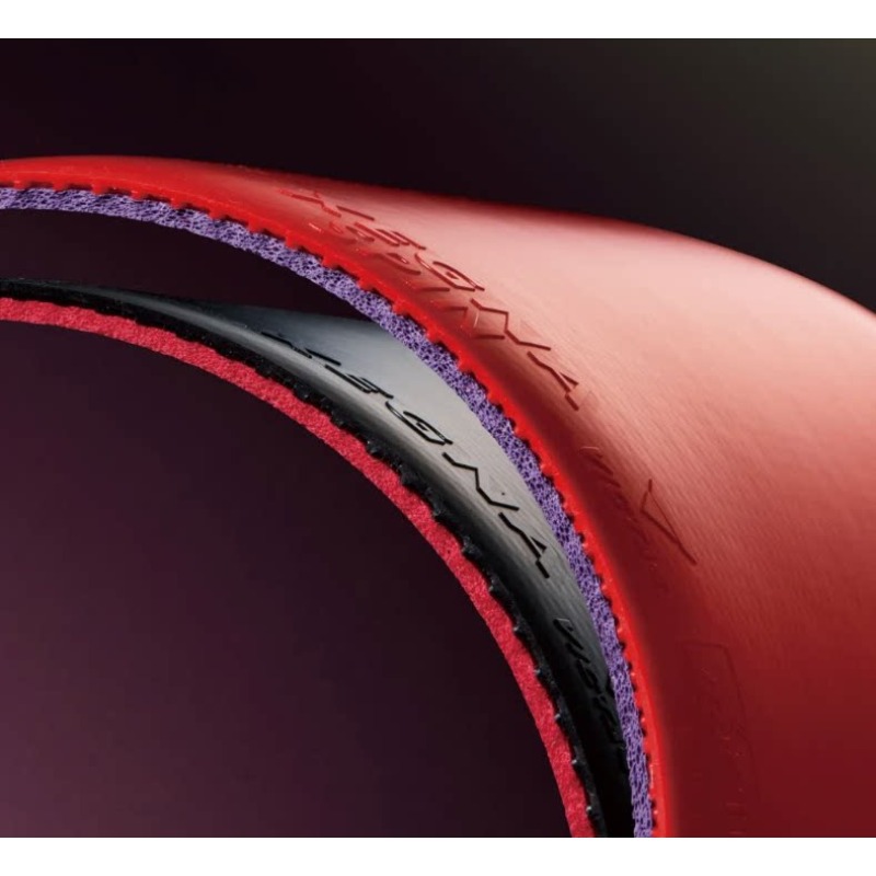 VICTAS XEGNA SPIN XEGNA Table  - Table Tennis Spin のレビューと価格