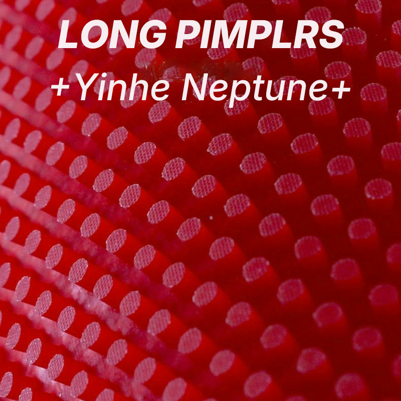 YINHE NEPTUNE Long Pimples Tab - Table Tennis Spin のレビューと価格